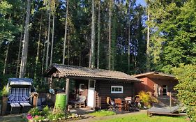 Casa Foresta - minimalistisches 1-Raum Tiny House direkt am Wald